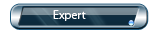 Expert